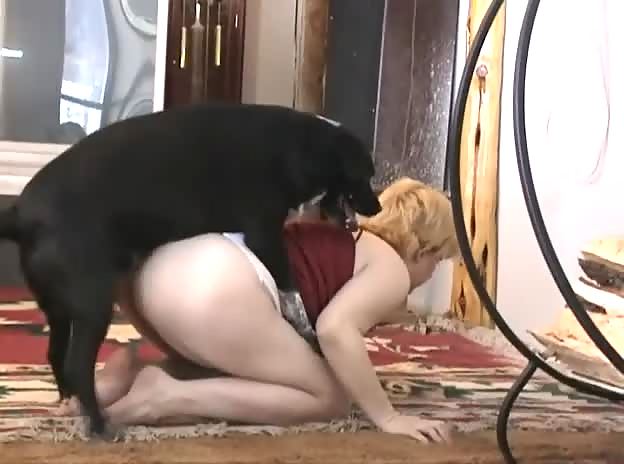 fellation sur un chien
