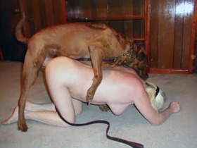 singe baise femme